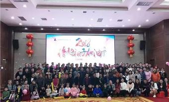 河南驰诚电气股份有限公司