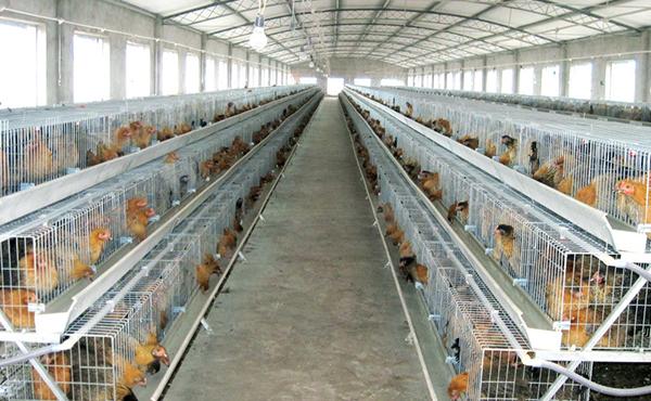 有毒气体报警器 有毒气体报警器